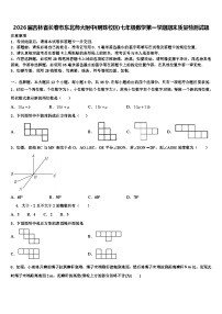 2026届吉林省长春市东北师大附中(明珠校区)七年级数学第一学期期末质量检测试题含解析