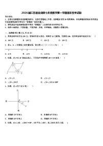 2026届江苏省金湖县七年级数学第一学期期末统考试题含解析