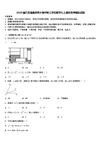 2026届江苏省南京师大附中树人学校数学七上期末统考模拟试题含解析