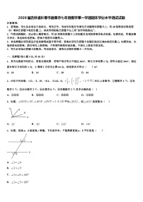 2026届吉林省长春市德惠市七年级数学第一学期期末学业水平测试试题含解析