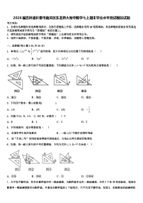2026届吉林省长春市南关区东北师大附中数学七上期末学业水平测试模拟试题含解析