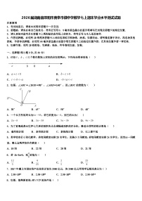 2026届湖南省邵阳市黄亭市镇中学数学七上期末学业水平测试试题含解析