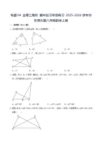 专题04全等三角形 期中复习专项练习 2025-2026学年华东师大版八年级数学上册