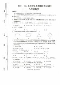 河南省驻马店市平舆县2025-2026学年上学期期中学情测评九年级数学试卷