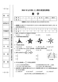 湖南省邵阳市新邵县2025-2026学年九年级上册期中考试数学试卷
