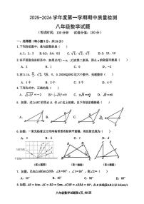 江苏省连云港市新海实验中学2025-2026学年八年级上学期期中数学试题