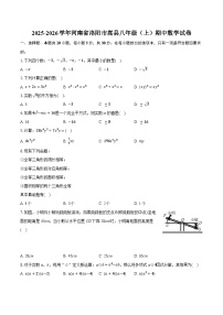 2025-2026学年河南省洛阳市嵩县八年级（上）期中数学试卷