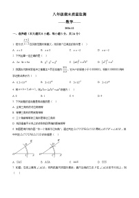 精品解析：吉林省长春市宽城区2024-2025学年八年级上学期期末数学试题+答案