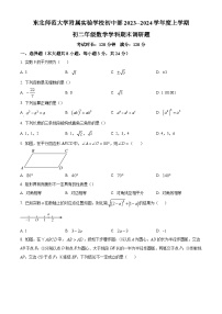 精品解析：吉林省长春市东北师范大学附属实验学校2023-2024学年八年级上学期期末数学试题+答案