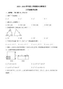 精品解析：吉林省长春市新区2023-2024学年八年级上学期期末数学试题+答案