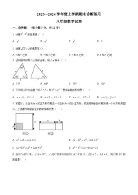 精品解析：吉林省长春市新区2023-2024学年八年级上学期期末数学试题+答案