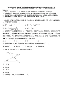 2026届江苏省苏州工业园区星澄学校数学七年级第一学期期末监测试题含解析