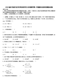 2026届江苏省兴化市乐吾实验学校七年级数学第一学期期末达标检测模拟试题含解析