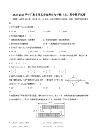 2025-2026学年广东省茂名市高州市九年级（上）期中数学试卷-自定义类型