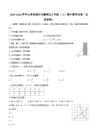 2025-2026学年山东省烟台市蓬莱区九年级（上）期中数学试卷（五四学制）-自定义类型