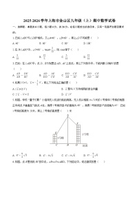 2025-2026学年上海市金山区九年级（上）期中数学试卷-自定义类型