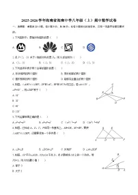 2025-2026学年海南省海南中学八年级（上）期中数学试卷-自定义类型