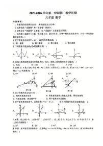 安徽省蚌埠市六中本部 2025-2026学年八年级上学期11月期中数学试题