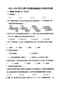 河南省郑州市枫杨外国语、金水外国语、朗悦慧等5校联考2025-2026学年七年级上学期期中数学试题
