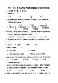 河南省郑州市枫杨外国语、金水外国语、朗悦慧等5校联考2025-2026学年七年级上学期期中数学试题