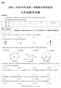 陕西省安康市汉阴县2025-2026学年九年级上学期11月期中数学试题