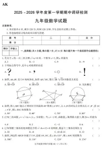 陕西省安康市汉阴县2025-2026学年九年级上学期11月期中数学试题