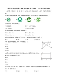 2025-2026学年浙江省杭州市余杭区八年级（上）期中数学试卷