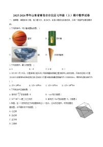 2025-2026学年山东省青岛市市北区七年级（上）期中数学试卷