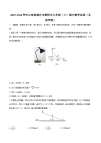 2025-2026学年山东省烟台市莱阳市九年级（上）期中数学试卷（五四学制）