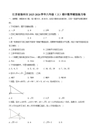 江苏省徐州市2025-2026学年八年级（上）期中数学模拟练习卷
