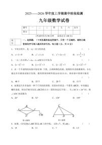 辽宁省锦州市太和区2025-2026学年九年级上学期期中质量检测数学试卷（无答案）