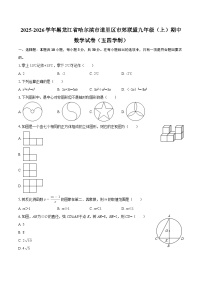 2025-2026学年黑龙江省哈尔滨市道里区市郊联盟九年级（上）期中数学试卷（五四学制）-自定义类型