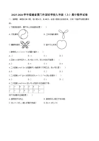 2025-2026学年福建省厦门外国语学校九年级（上）期中数学试卷-自定义类型
