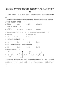 2025-2026学年广东省茂名市高州市四校联考八年级（上）期中数学试卷-自定义类型