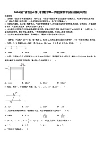 2026届江西省吉水县七年级数学第一学期期末教学质量检测模拟试题含解析