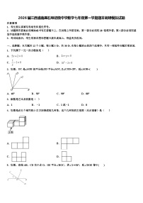 2026届江西省南昌石埠初级中学数学七年级第一学期期末调研模拟试题含解析