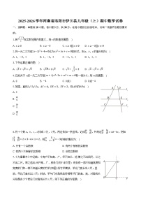 2025-2026学年河南省洛阳市伊川县九年级（上）期中数学试卷