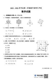 山东省德州市乐陵市2025-2026学年九年级上学期期中考试九年级数学试题