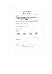 山东省泰安市新泰市2025-2026学年九年级上学期11月期中数学试题