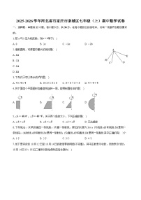 2025-2026学年河北省石家庄市栾城区七年级（上）期中数学试卷