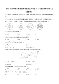 2025-2026学年山东省淄博市临淄区八年级(上)期中数学试卷(五四学制)