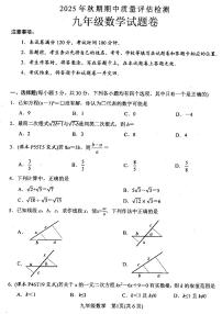 南阳市2025-2026学年九年级上学期期中考试数学试卷及答案