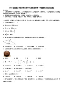 2026届内蒙古师范大第二附中七年级数学第一学期期末达标测试试题含解析