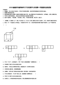 2026届南京市南师附中江宁分校数学七年级第一学期期末监测试题含解析