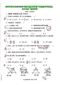 2025年扬州文昌集团九年级上学期期中数学试题解析