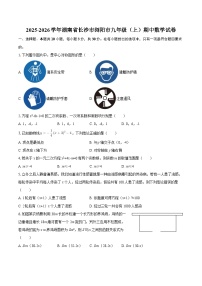 2025-2026学年湖南省长沙市浏阳市九年级（上）期中数学试卷-自定义类型