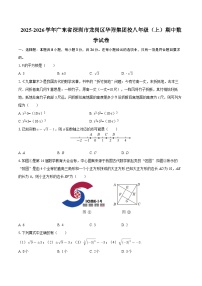 2025-2026学年广东省深圳市龙岗区华附集团校八年级（上）期中数学试卷-自定义类型