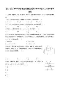 2025-2026学年广东省清远市清城区松岗中学九年级（上）期中数学试卷-自定义类型