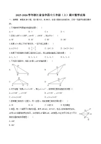 2025-2026学年浙江省金华四中八年级（上）期中数学试卷-自定义类型