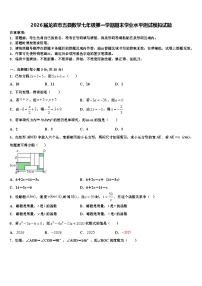2026届龙岩市五县数学七年级第一学期期末学业水平测试模拟试题含解析
